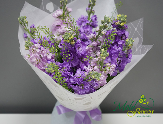 Bouquet of purple and violet stock flowers in a vase photo